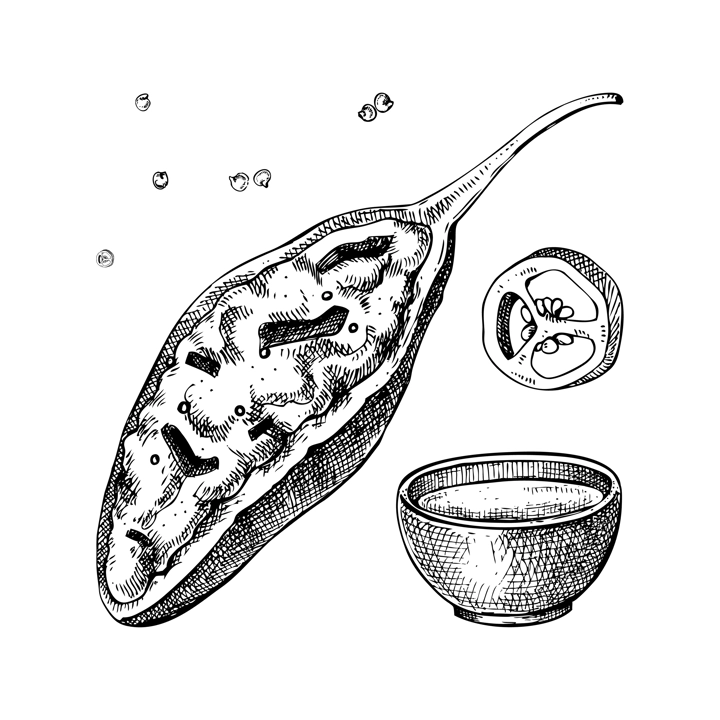 Stuffed jalapeno chili pepper sketches. Hot spices, vegetarian, healthy food hand drawn vector illustration. Mexican cuisine menu design elements. Mexican restaurant food dishes.